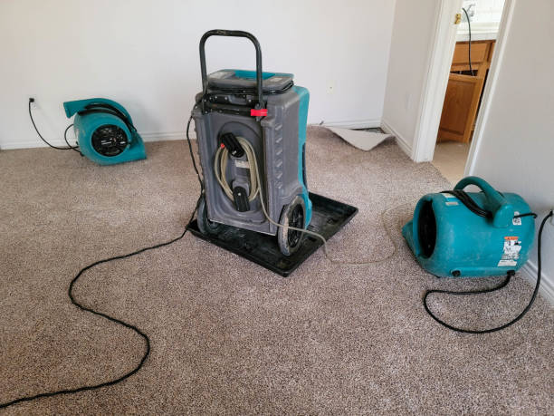 Best 24-hour water damage restoration  in Marmora, NJ