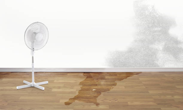 Best Water damage restoration near me  in Marmora, NJ
