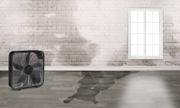  Marmora, NJ Water damage restoration Pros