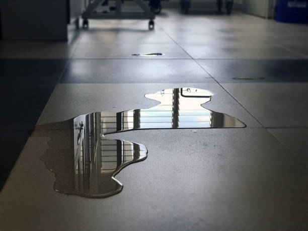 Best Water damage cleanup near me  in Marmora, NJ
