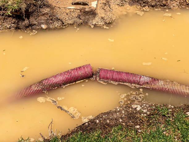 Best Flood restoration services  in Marmora, NJ